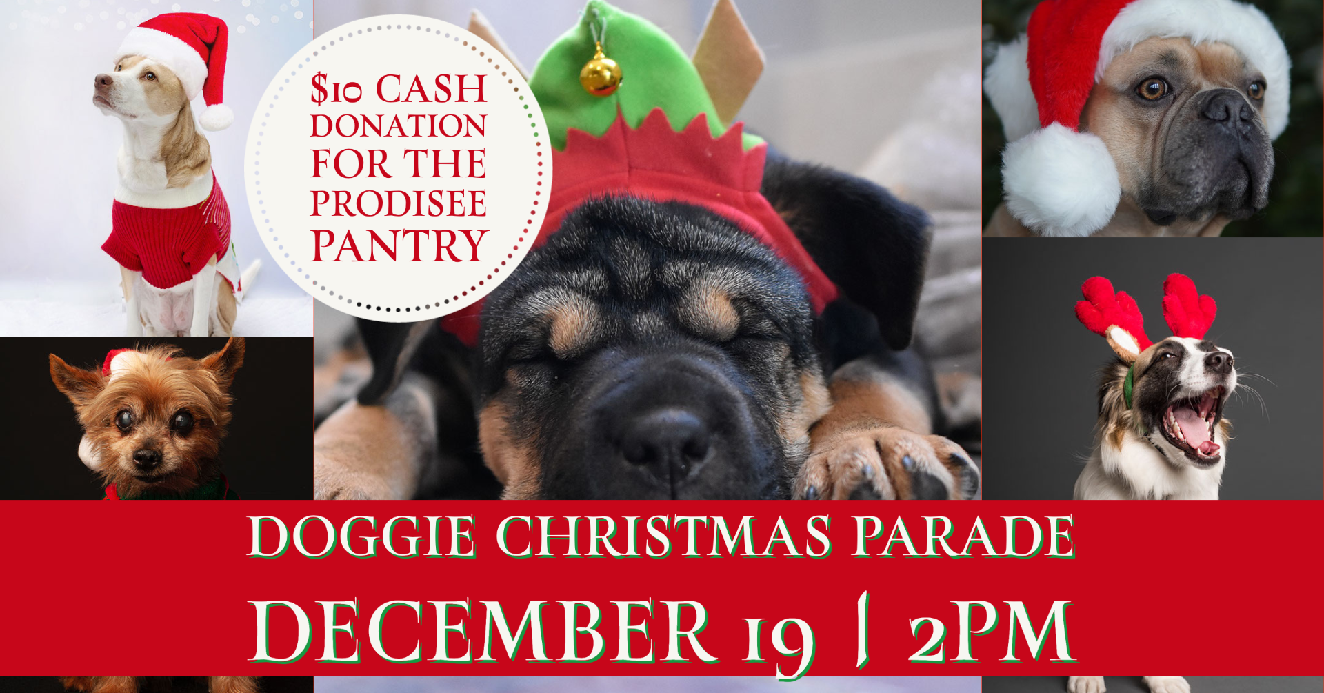 Christmas Doggie Parade at Eastern Shore Centre