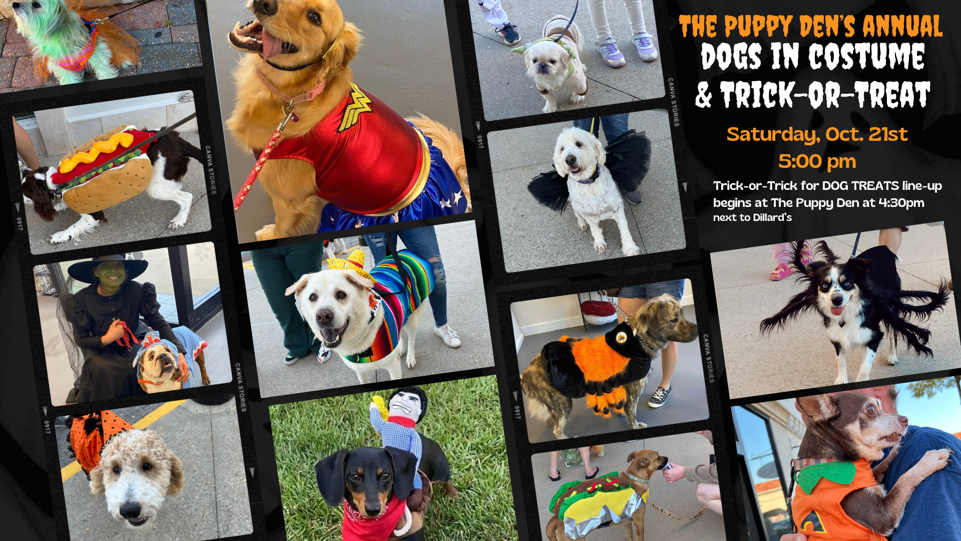 The Puppy Den Dog Costume Parade and Trick-or-Treat at Eastern Shore Centre